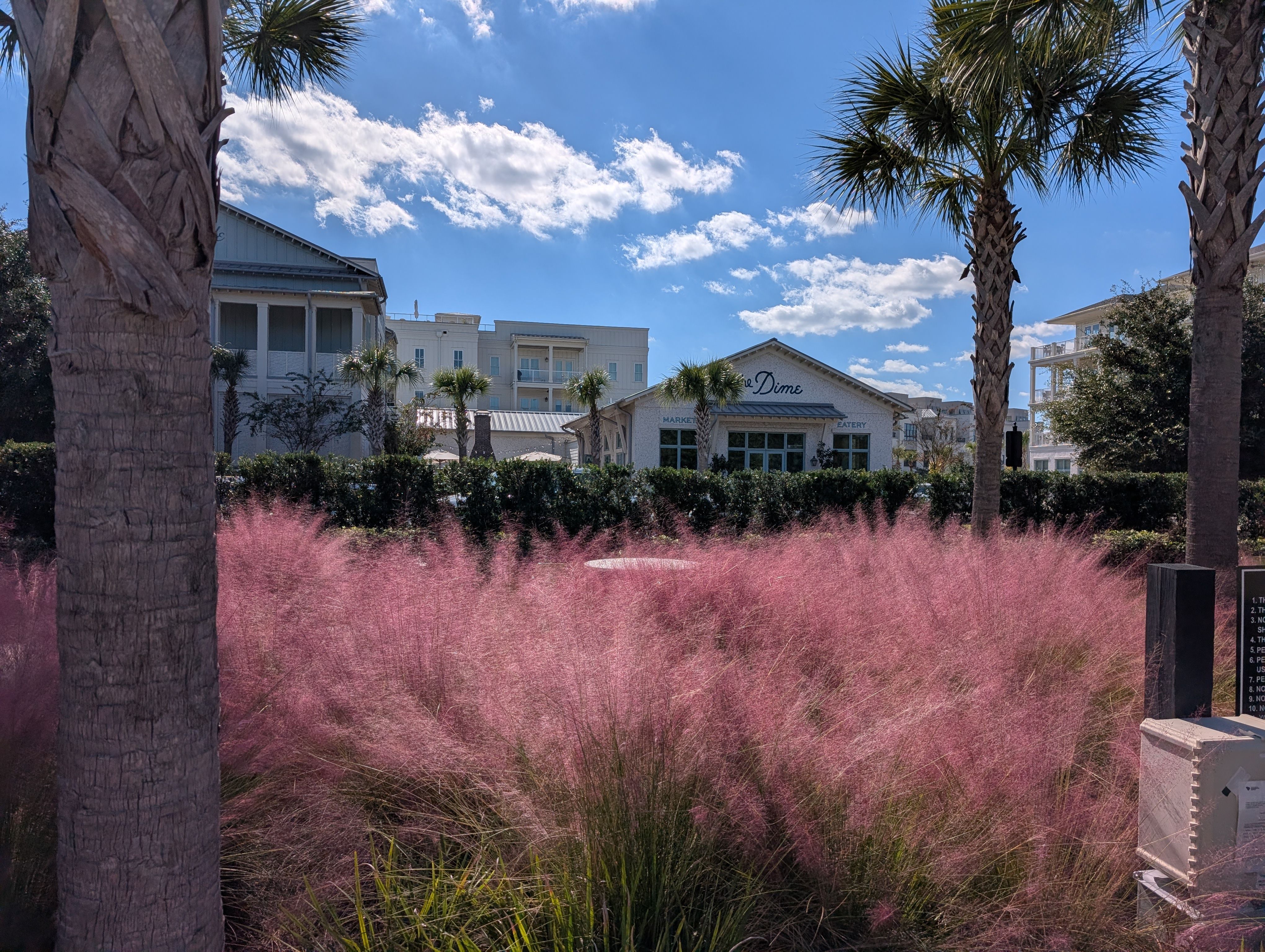 Flood and Storm Considerations for Luxury Homes in Mount Pleasant