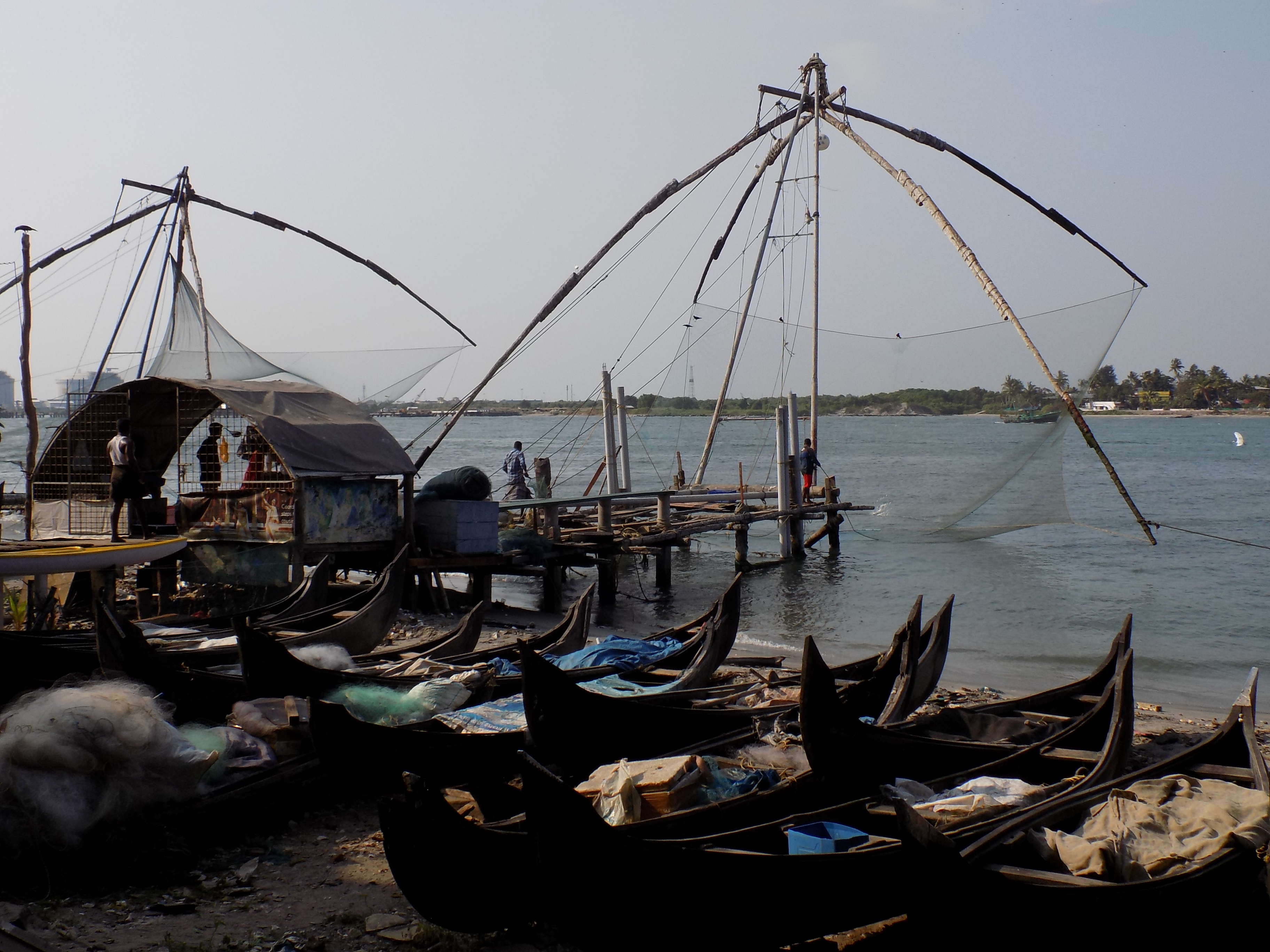 Best Things to Do in Kochi, Kerala: A Gentle Introduction to India