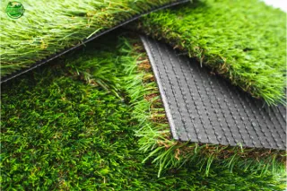 Top 5 Grass Types Southwest Florida | Charlotte County Lawns