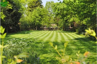 Overgrown Lot Restoration Charlotte County FL | Charlotte County Lawns