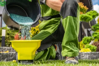 Lawn Fertilization in Southwest Florida | Charlotte County Lawns