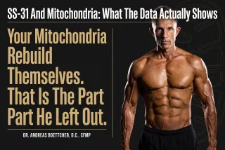 SS-31 And Mitochondria: What The Data Actually Shows