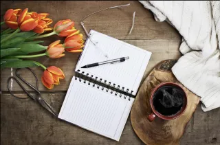 The Soul Story Meaning of Forward