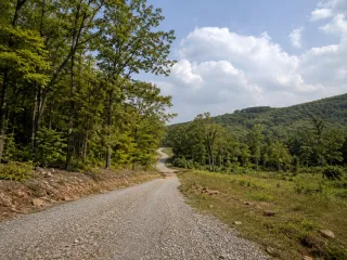 7 Common Mistakes to Avoid When Searching for Land in Arkansas