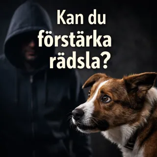 Kan du förstärka rädsla