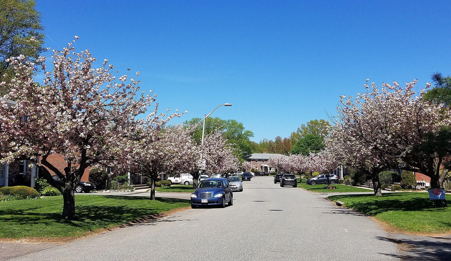 Community Spotlight: Why Belmont, MA Deserves a Closer Look