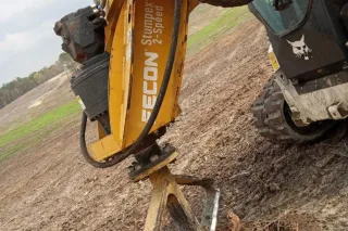 Ignoring Old Tree Stumps Can Cause Safety & Pest Issues