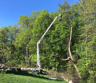 Safe & Reliable Tree Removal Services in Green Bay for Hazardous Trees