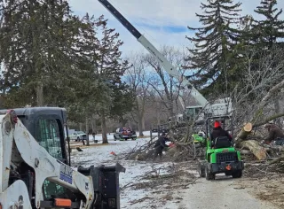 Affordable Tree Service Green Bay: Quality Care Without Overspending