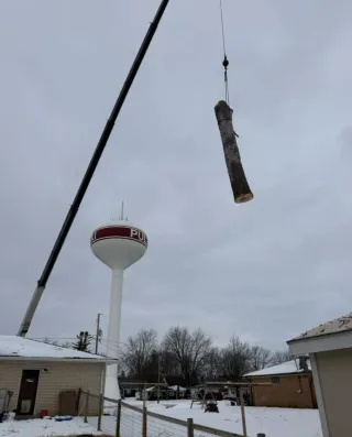 How Tree Service in Green Bay WI Protects Property