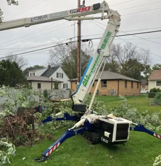Expert Tree Trimming in Green Bay WI for Healthy Growth
