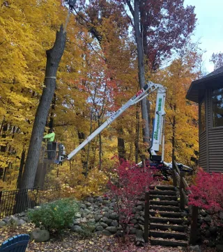 Tree Service De Pere WI for Healthy Strong Trees Today