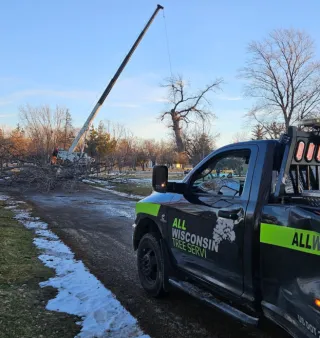 Tree Service in De Pere WI: Why Property Owners Need It