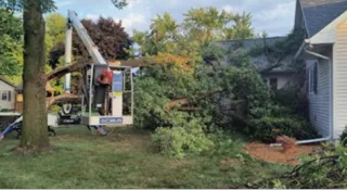 Tree Removal Services in Green Bay, WI for Safety Reasons Now