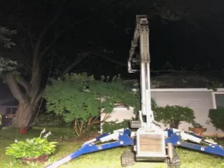 Stump Grinding or Removal: Best for Your Green Bay Yard Now!