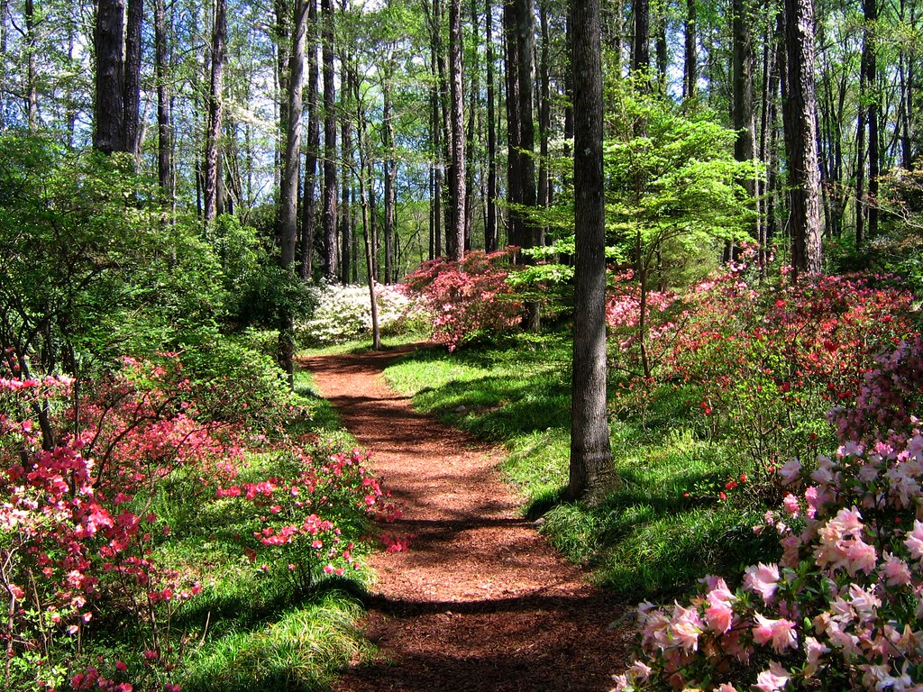 Getting Around Smyrna, GA: A Smarter Guide to Choosing Your Next Rental Car