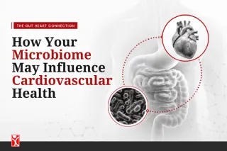 The Gut-Heart Connection: Microbiome & Heart Health