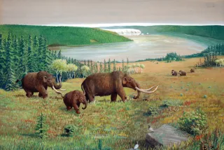 The Mighty Museum of the Earth
