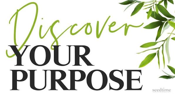 Discover your purpose and uncover what’s stopping you from receiving it