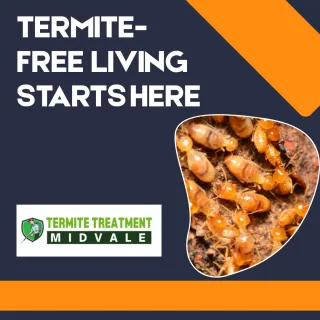 Affordable Termite Control Services for Homes and Businesses