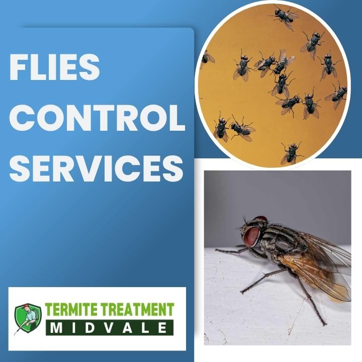 Flies Control Services for Cleaner Indoor Living Areas