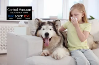Winter Allergies in New Zealand: How to Improve Indoor Air Quality at Home