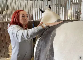 Your Horse Isn't Being Difficult — They're Telling You Something