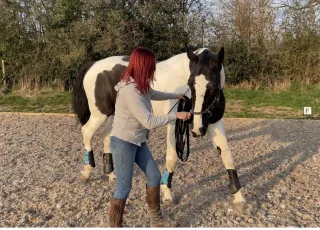 Why Your Horse Bends Better One Way — And What's Really Going On In Their Body