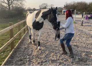 Why Your Horse's Crookedness Patterns Don't Fix Themselves