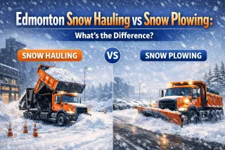 Edmonton Snow Hauling vs Snow Plowing: What's the Difference?