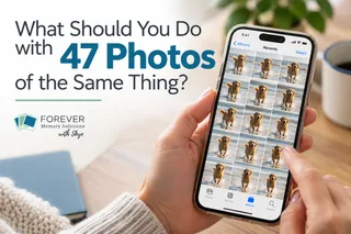 What Should You Do With 47 Photos of the Same Thing?