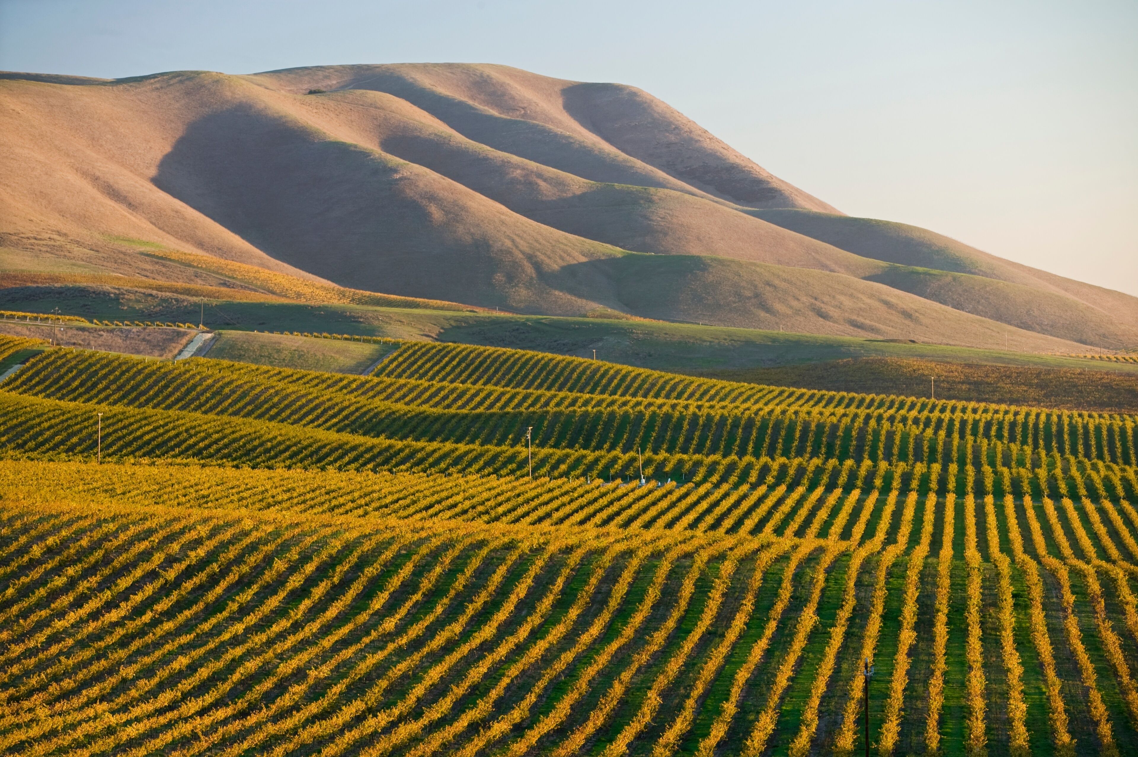Best Neighborhoods in Santa Maria, CA