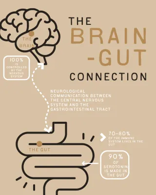 Why Your Child’s Gut Won’t Heal – and What’s Really Going On