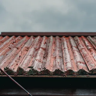 What Homeowners Should Know Before Replacing Their Roof