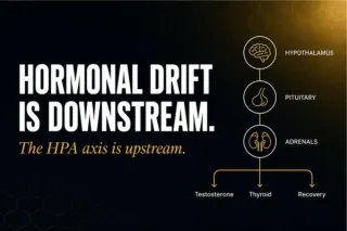 Hormonal Drift Is Downstream. The HPA Axis Is Upstream.