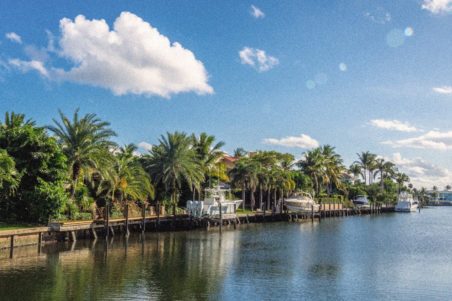 Car Rental in Jacksonville, FL: Everything You Need to Know Before Booking 🚗 (Alligenz Car Rental Management LLC, Jacksonville, FL)