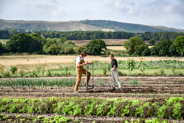 What Is a CSA — And Is It Worth It?