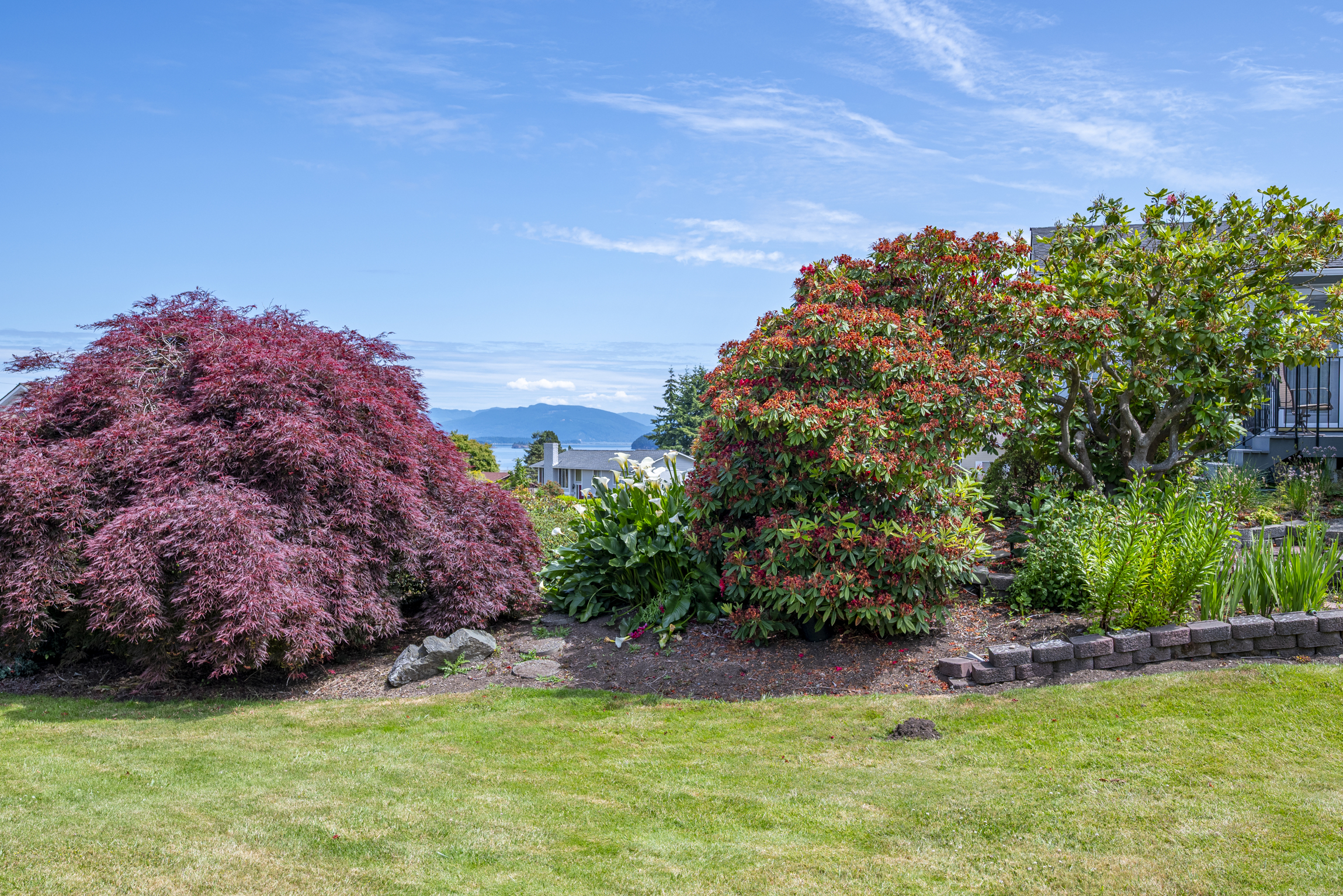 Waterfront Homes in Anacortes: What to Know Before You Buy
