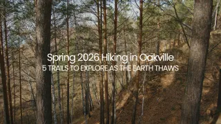 Spring 2026 Hiking in Oakville: 5 Trails to Explore as the Earth Thaws