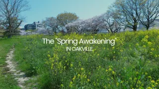 Spring Home Maintenance Tips Oakville 2026 | Property Care Guide