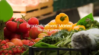 Local Harvest: Visiting the Sunday Bronte Farmers’ Market