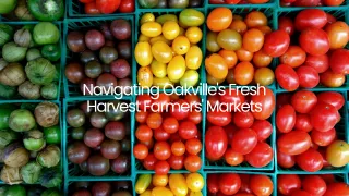 Oakville Farmers Market Guide: Fresh Produce & Local Harvest