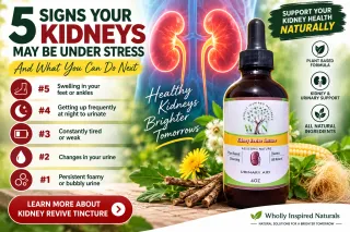 5 Signs Your Kidneys May Be Under Stress — And What You Can Do Next