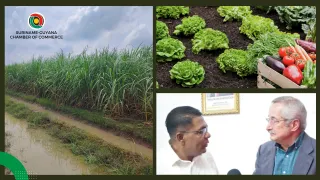 Guyana pursues major agricultural partnerships to scale production and investment 
