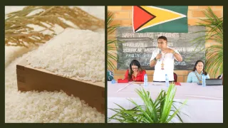 Guyana Expands Agricultural Output While Preparing for Climate Risks
