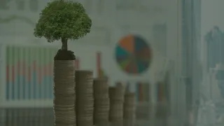  USD 85 Million Project Financing: Focus Shifts to Implementation and Accountability