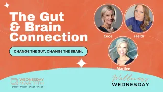 The Gut Brain Connection and Why It Matters for Whole Body Wellness