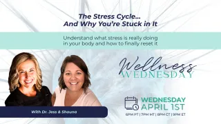 The Stress Cycle And Why You Are Stuck In It