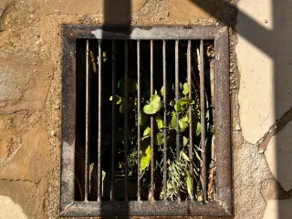 5 Common Drain Problem signs and How to Deal With Them