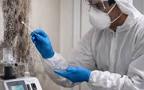 Mold Inspection NJ | Air & Surface Testing | JSHI
